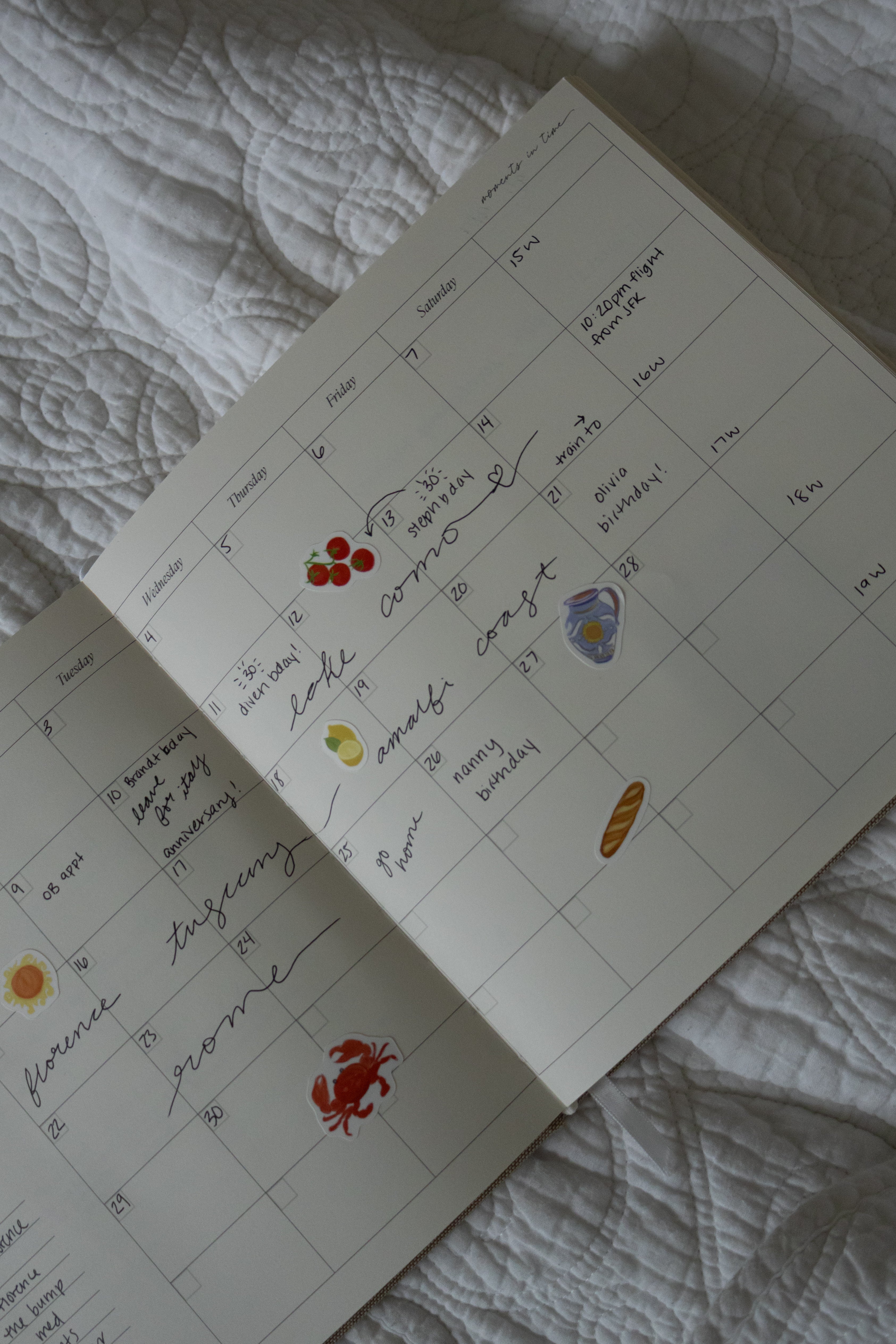 Sticker + Notepad Kits X Jackie Camardo