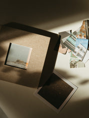 The Photo Insert X Shannen Fusco