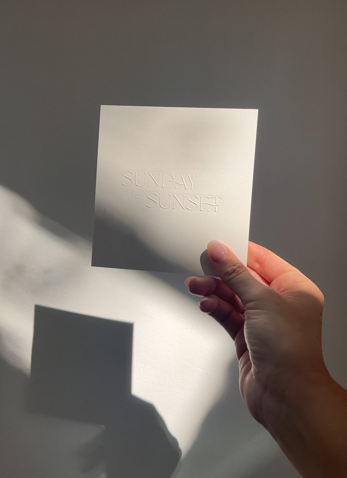 The Logo Insert: Volume I