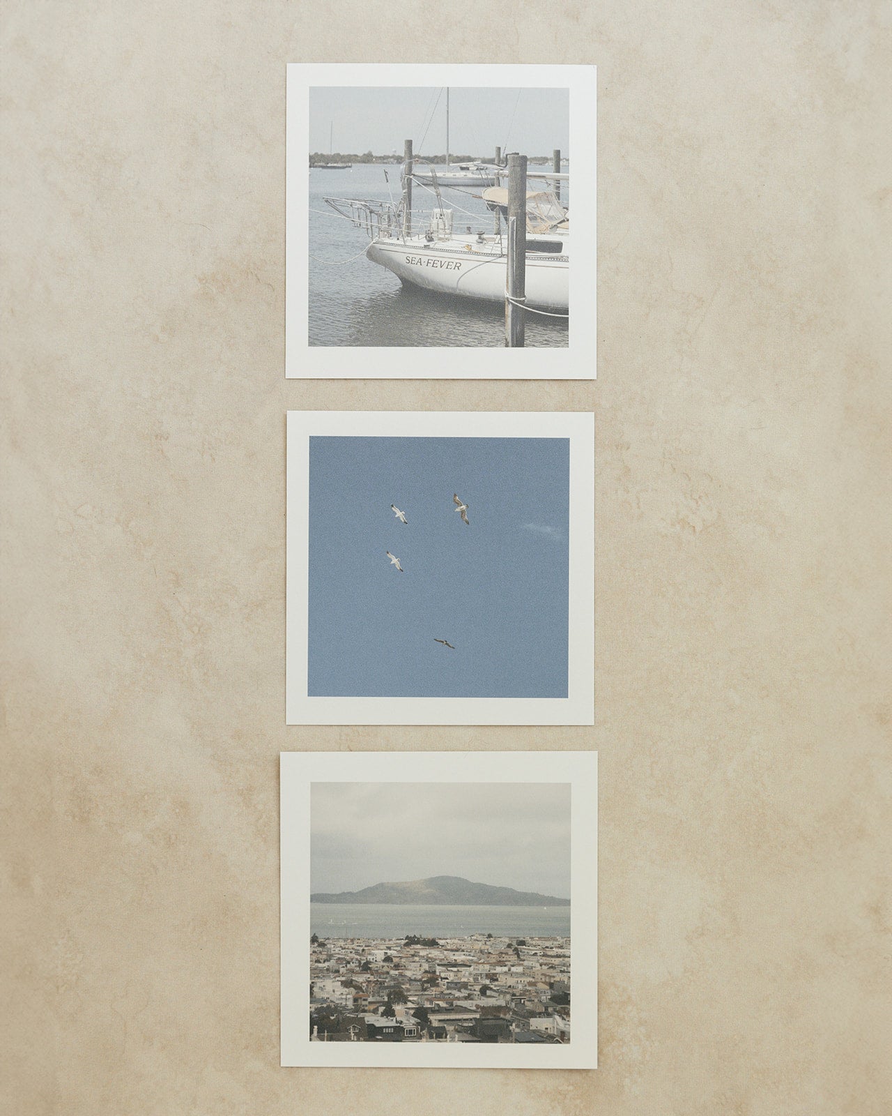 s2s.museboard_covers-12_websize.jpg
